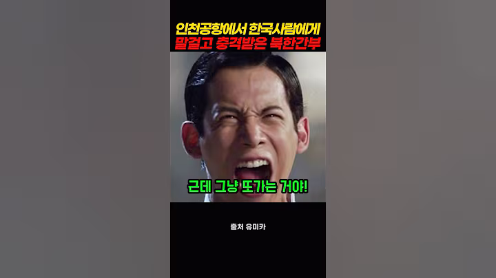 인천공항에서  한국사람에게 말걸고 충격받은 북한남성