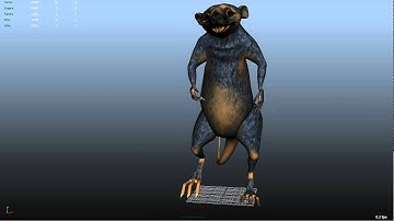 Rat walk cycle