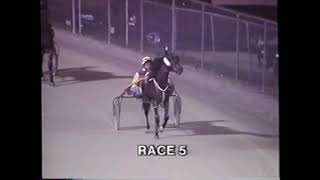 1995 Scioto Downs LARSEN E HART Ryan Holton