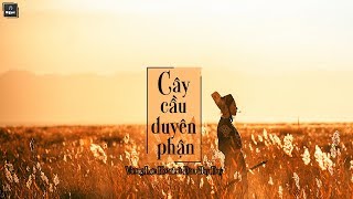 [ Vietsub + Pinyin ] Cây Cầu Duyên Phận | 缘分一道桥 - Vương Lực Hoành & Đàm Duy Duy