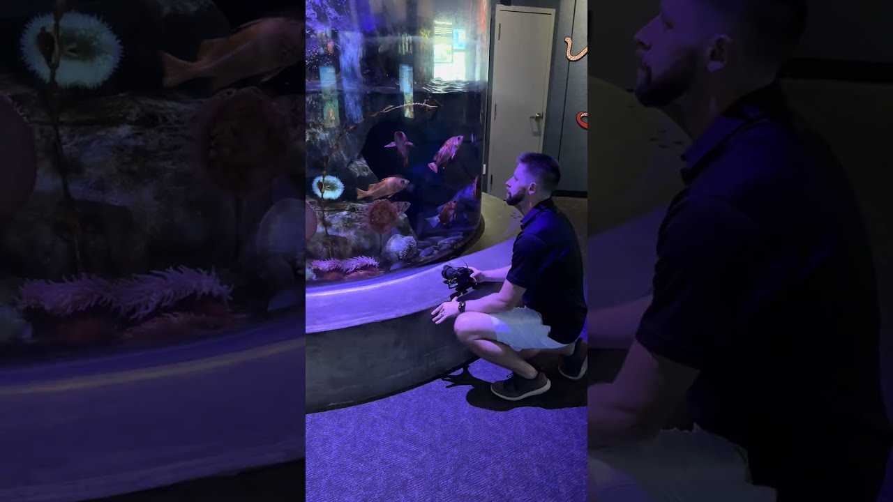 This Aquarium Has CRASHING WAVES! 🌊