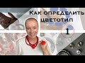 Цветотипы внешности и контрастность: какие аксессуары выбрать. Часть 1