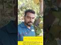 நடவுசெய்த பதினெட்டு மாதங்களில் பலன் தரும் வியட்னாம் பலா ரகம் । நவீன விவசாயி । 9043299809