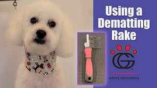 Using a dematting rake (comb style) with Odie!