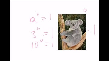 5.1 Exponents and Scientific Notation