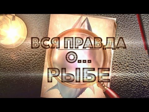 Вся правда о… рыбе