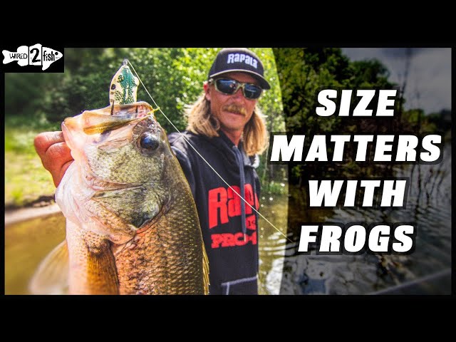 How to Fish Crankbaits in Weeds with Seth Feider - Wired2Fish