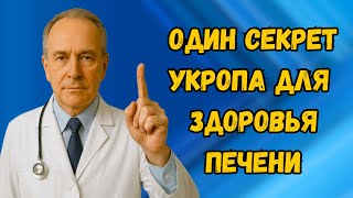 Очищение печени укропом простой способ для здоровья