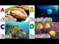 ABC phonics animals | ABC Sea Animals song | English and Animals for Kids | Alphabets Kids Song
