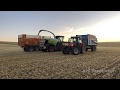 Ensilage de seigle pour une unité de méthanisation !!!