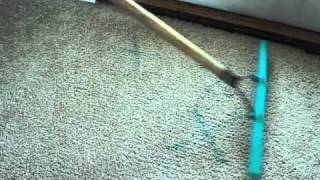 Drynclean Pet Odor Stain URINE REMOVAL CLEANING Virginia Beach, Norfolk, Chesapeake VA