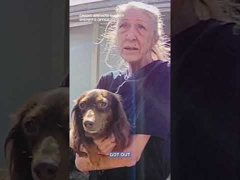 Florida Woman Arrested After Attacking Animal Enforcement Officer With Broom: Sheriff