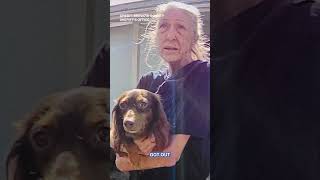 Florida Woman Arrested After Attacking Animal Enforcement Officer With Broom: Sheriff