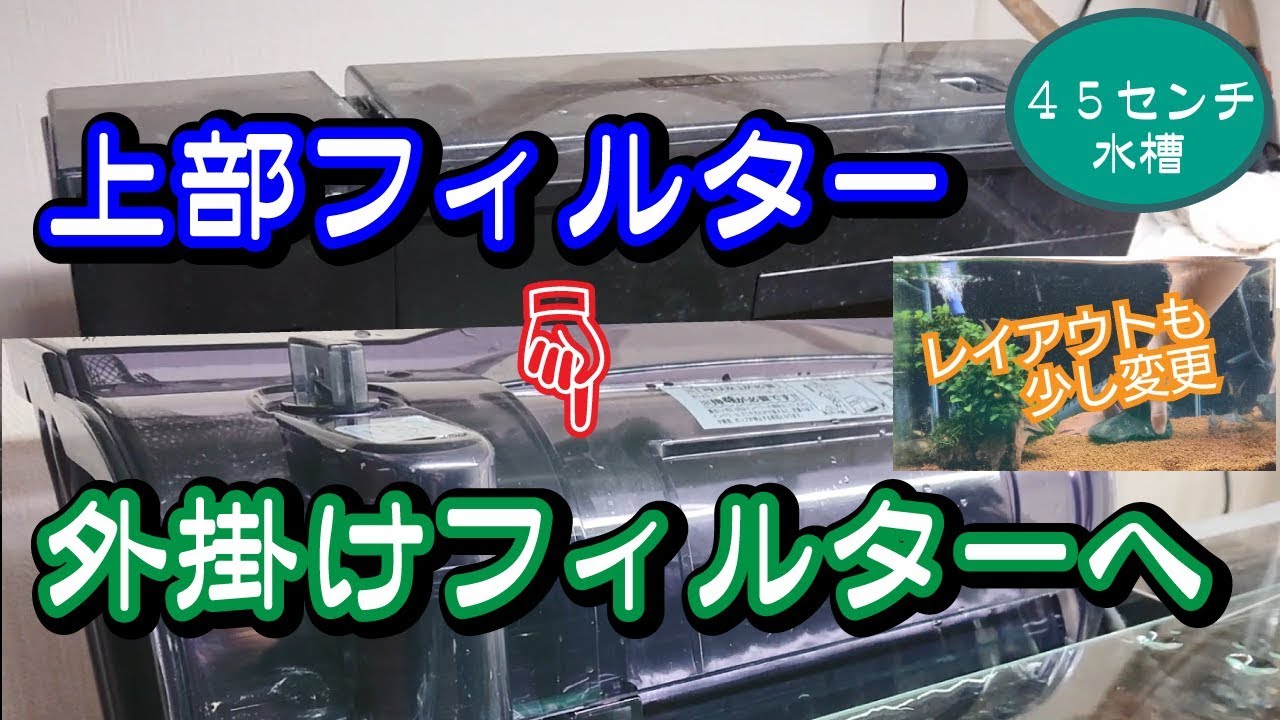 45センチ水槽 上部フィルターから外掛けフィルターへ Youtube