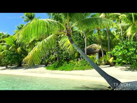 Private Island Boat Tour 🏝 Tropical Paradise | Motu Tane Bora Bora, French Polynesia 🇵🇫 | 4K Travel