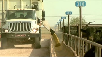 Angus VNR:  Feedlots must rise above