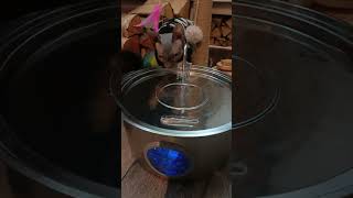 распаковка #pets #животные #обезьяна #рек #топ #shortsvideo #animals #monkey #cute #распаковка #zoo