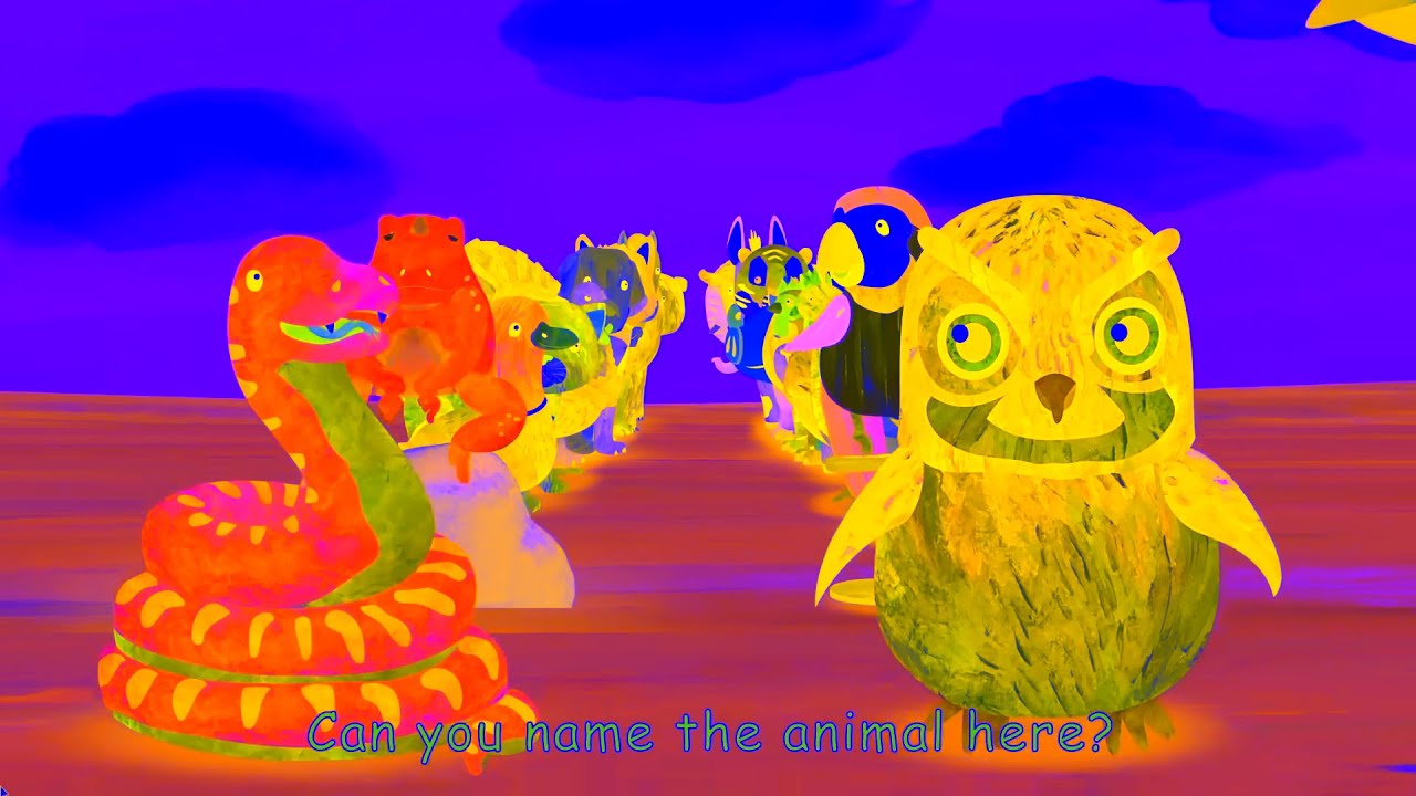 Name The Animal Here | Sponsored By: Klasky Csupo Effects + Distortion