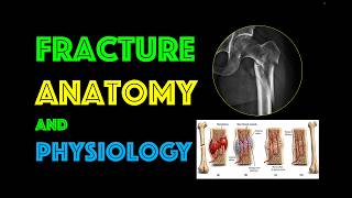 Fracture Anatomy and Physiology