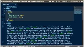 CSS how to  text indent thewebclever.com
