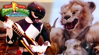 Löwen und Schneestürme⚡Power Rangers Re-Ignition E44 | Ganze Folge | Cartoon für Kinder | Official