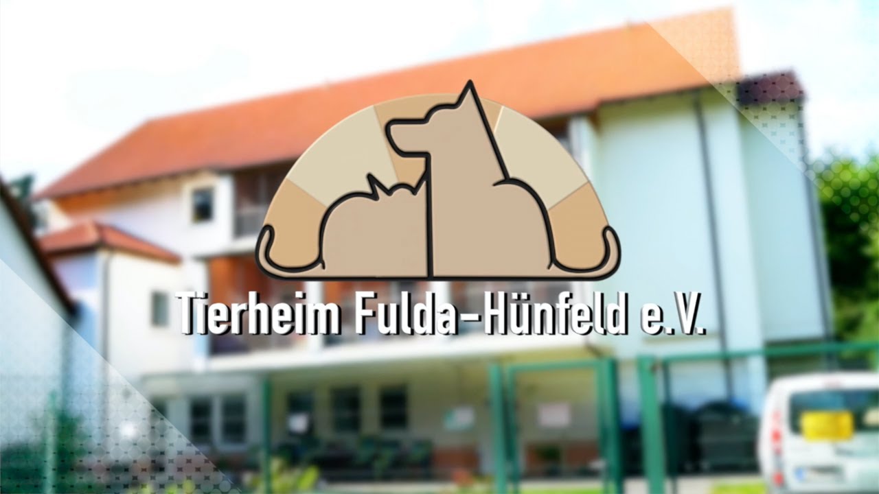 Tierheim Fulda-Hünfeld e.V.