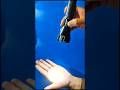 Long Range Torchlight Repair #shorts #technology