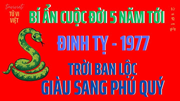 Tử Vi - Bí Ẩn Cuộc Đời Đinh Tỵ 1977 - Được Trời Ban Lộc Đổi Đời Giàu Sang - Tử Vi Việt