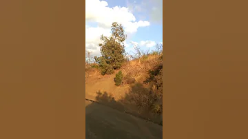 Titleبن علال 