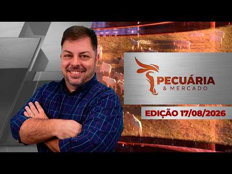 Negócios com o boi esfriam, pecuaristas cedem e frigoríficos devem intensificar testes com arroba