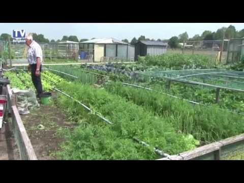 Video: Verjaardag Van De Club Van Amateur-tuinders 