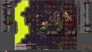 [WindBot] Mage - Hardcore Bugs by BugWT