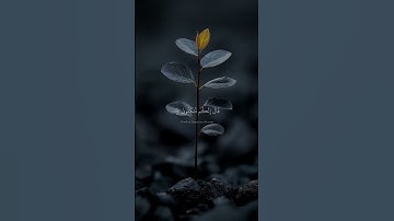 وما ظلمناهم ولكن كانوا هم الظالمين | سورة الزخرف (76-78) القارئ شريف مصطفى | #quran #قرآن