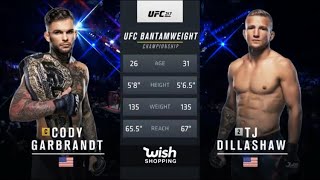 UFC 217: Garbrandt vs. Dillashaw 1 (Full Fight Highlights)