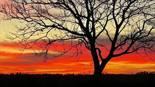 Download Lagu “TEliNGOLEM” Opee MP3