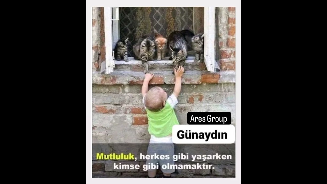 Ares Group Eğitim Başkanlığı