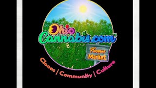 Ohio Cannabis 2024 Farmers Cup/Judge Kit Results Auto Aaron Edition