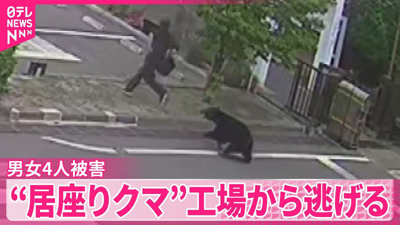 居座りクマ】男女4人被害 工場から逃げる 福島市 - YouTube