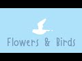 NEWROAD | Flowers &amp; Birds [Thai ver. cover]