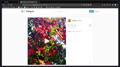 nextpost video thumbnail mod