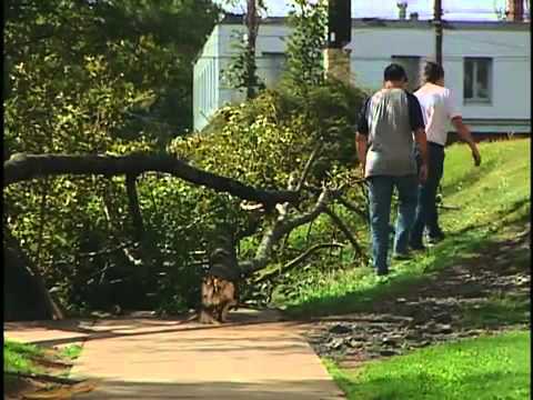 halifax map A look back at Hurricane Juan in Nova Scotia