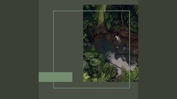 Pulsating Ambiance for Classic Chill Vibes