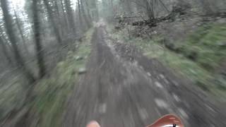 Out for a Rip!! Gio X31 250cc Dirtbiking Trails!