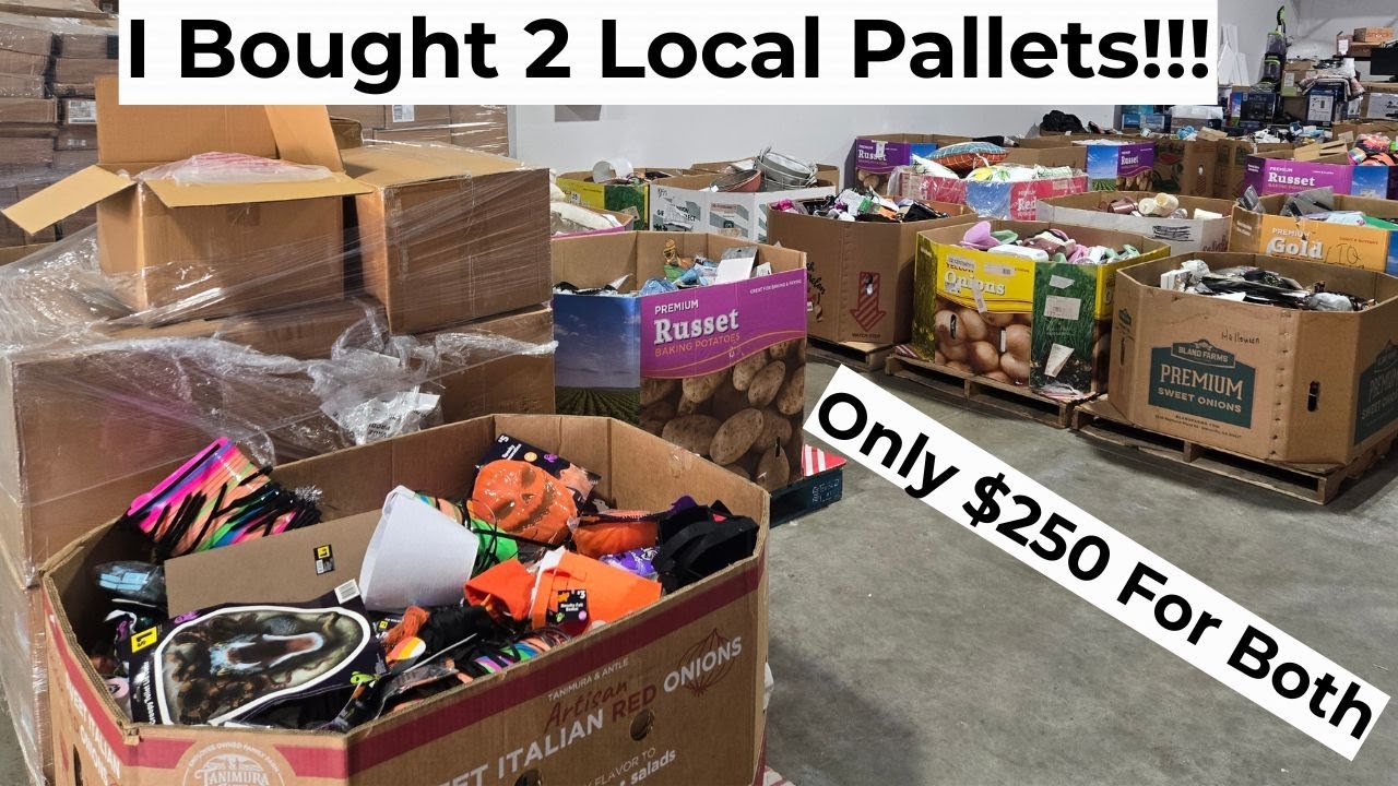 I Picked Up 2 Local Pallets For Only $250 | Over 500 Items!