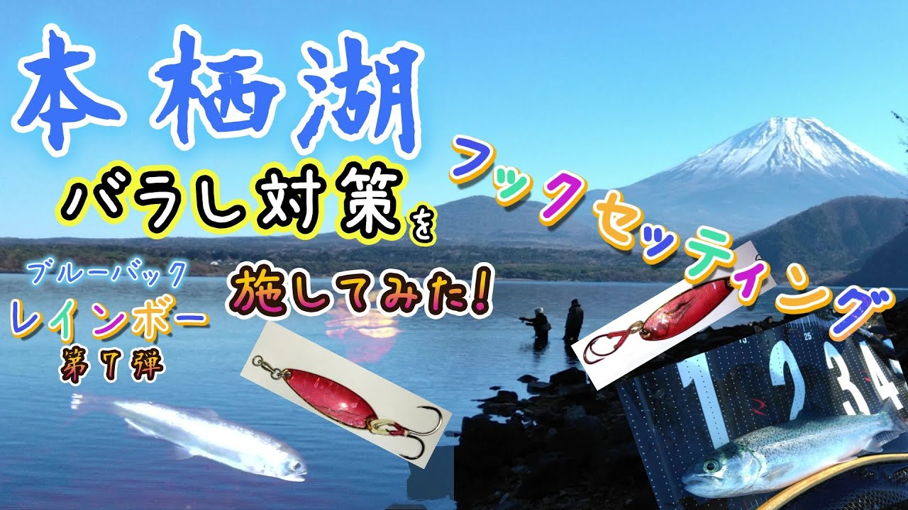 フックセッティングで釣果アップ❓本栖湖スプーンのバラシ対策 本栖湖ブルーバックレインボー🌈第七弾 /Lake Motosu/Blueback Rainbow Trout 釣行日2024/12/3～4