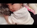 子猫が大好きな1歳児【Baby and Cat】