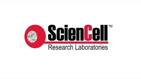 GeneQuery™ Analyzer Tutorial