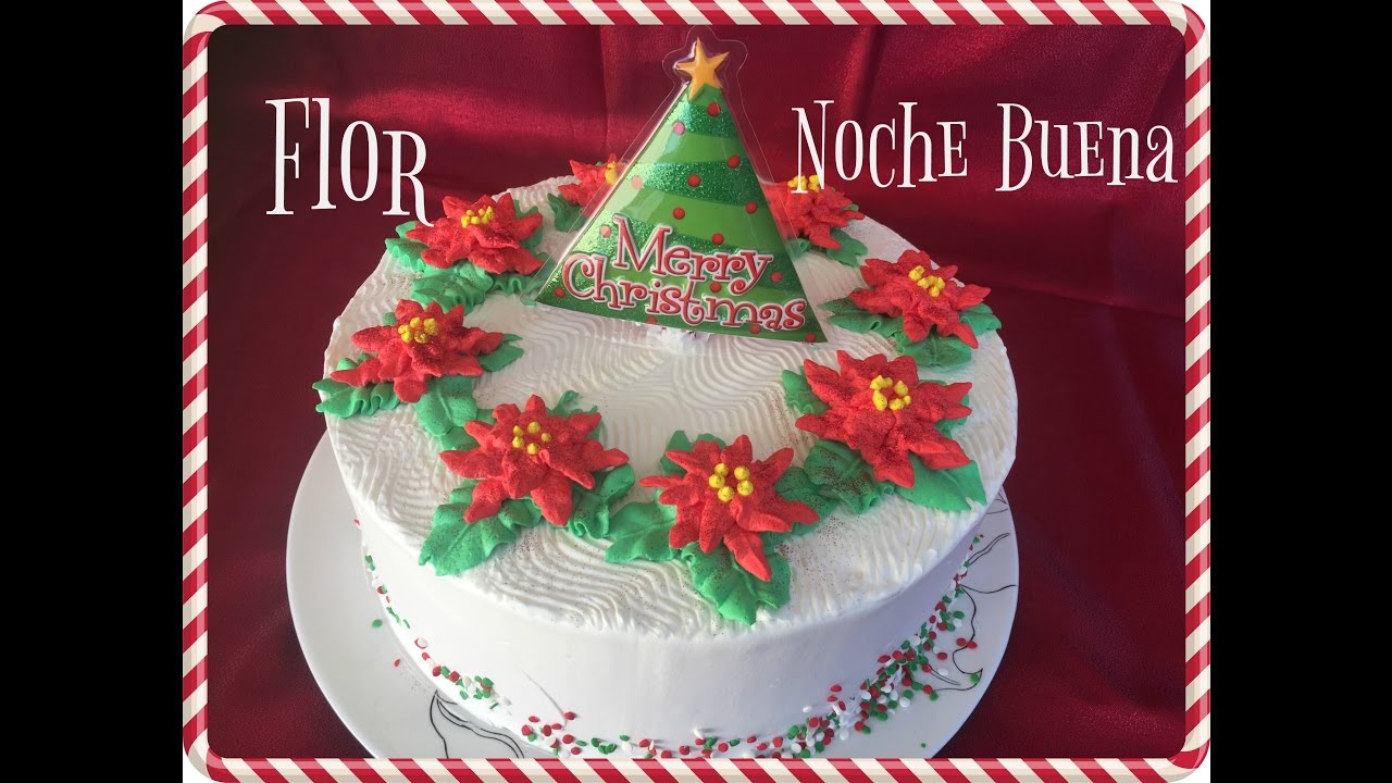 Flor Noche Buena En Chantilly/Poinsettia