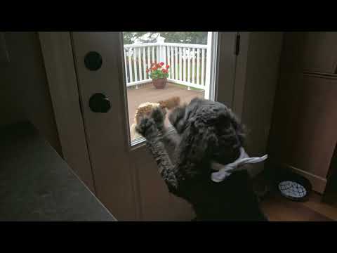 Summer 2025 A Cinematic Short Film By Henry Lindhome 