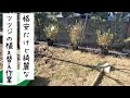 2月〜3月は楽しい花苗・花木探し＆植え替えの季節！まずはツツジを植えてみる！無限に楽しめるガーデニング【花の時間】